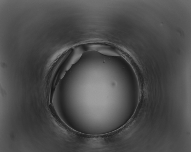 X0000091001406200708021550
