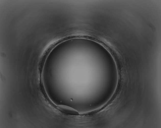 X0000091001408200708021550