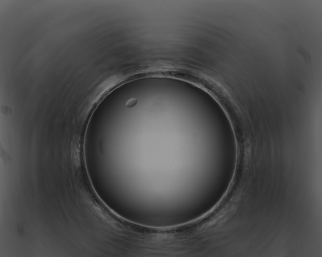 X0000091001409200708021550