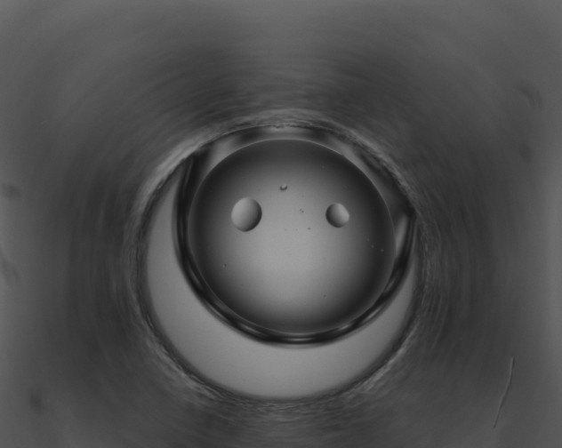 X0000091001410200708021550