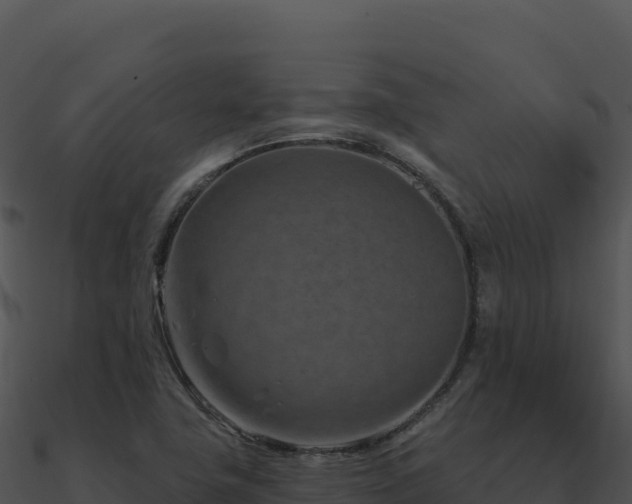 X0000091001411200708021550