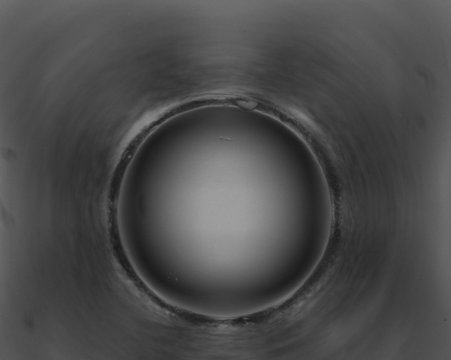 X0000091001412200708021550