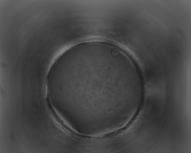 X0000091001413200708021551