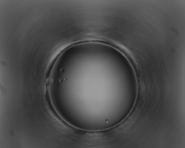 X0000091001415200708021551