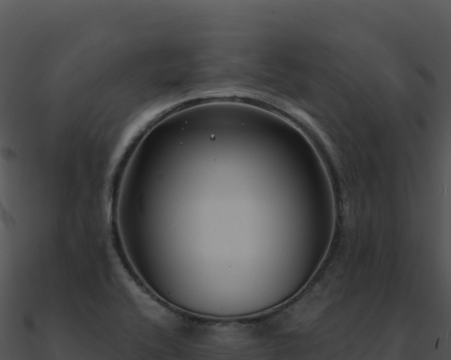 X0000091001416200708021551