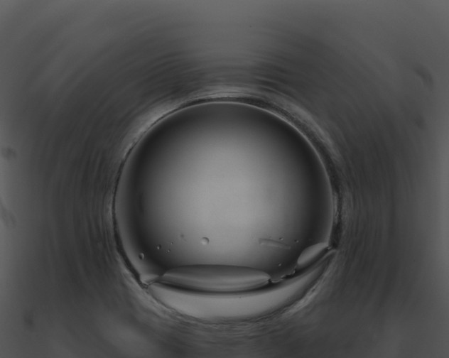 X0000091001417200708021551