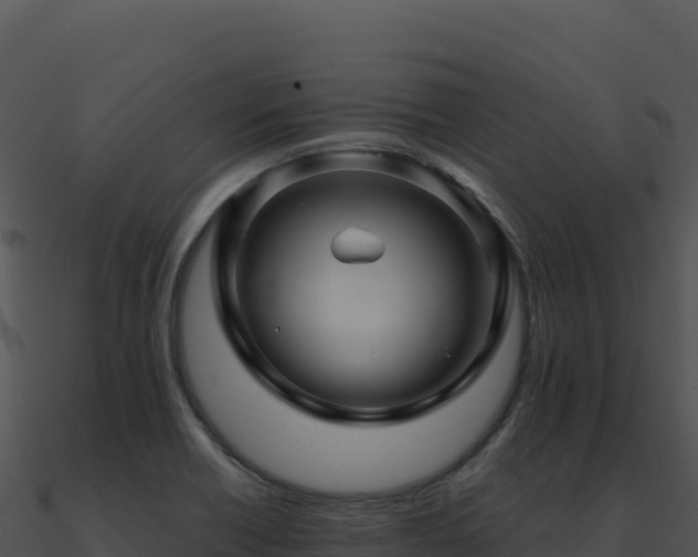 X0000091001418200708021551