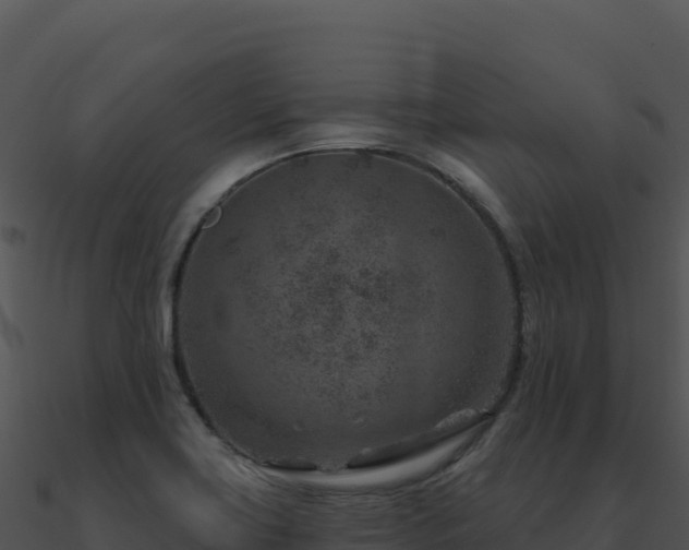 X0000091001419200708021551