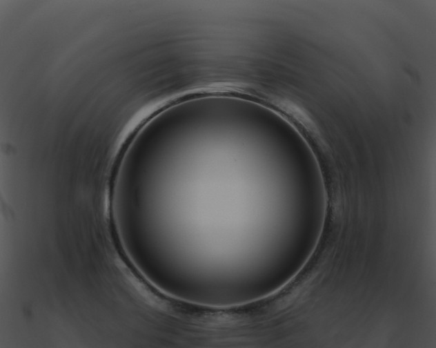 X0000091001420200708021551