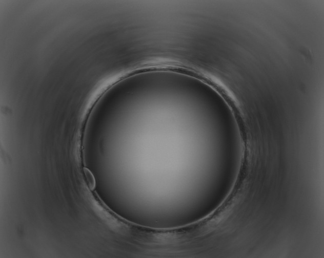 X0000091001421200708021551