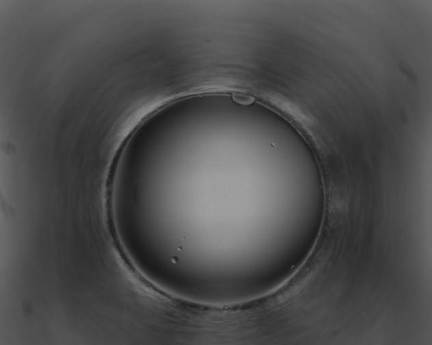 X0000091001423200708021551