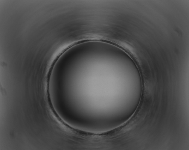 X0000091001424200708021551