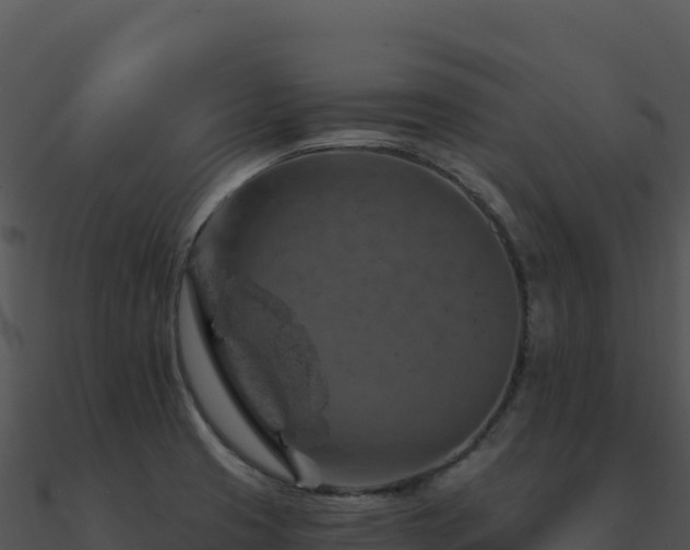 X0000091001425200708021551