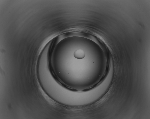 X0000091001426200708021551