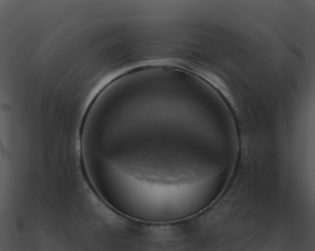 X0000091001428200708021551
