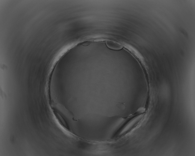 X0000091001429200708021551