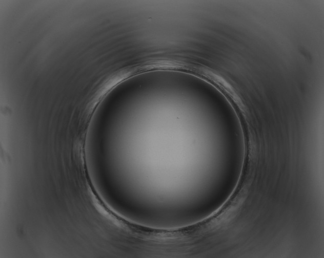 X0000091001433200708021551