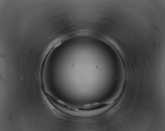 X0000091001434200708021551