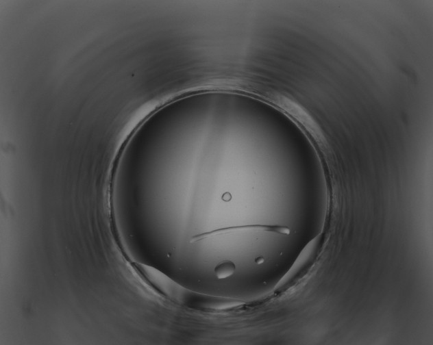 X0000091001436200708021551