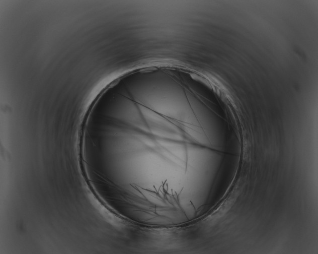 X0000091001438200708021551