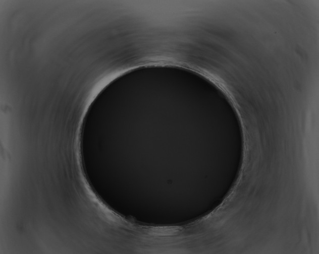 X0000091001440200708021551