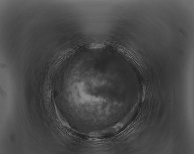 X0000091001441200708021550