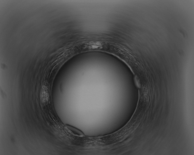 X0000091001442200708021550