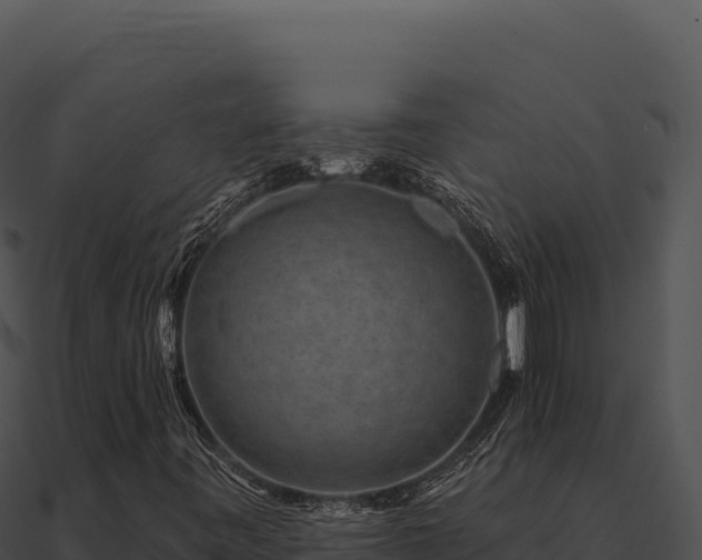 X0000091001443200708021550