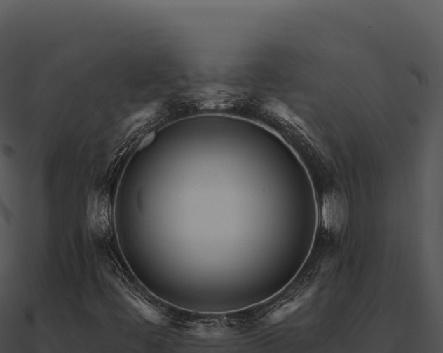 X0000091001444200708021550