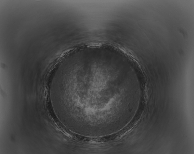 X0000091001445200708021550