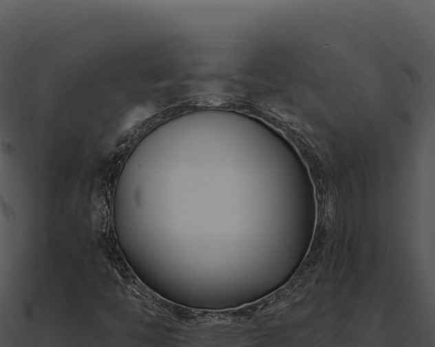 X0000091001446200708021550