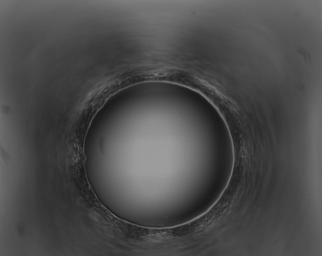 X0000091001447200708021550