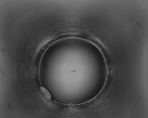 X0000091001448200708021550