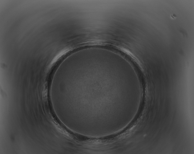 X0000091001450200708021550