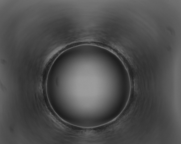 X0000091001452200708021550