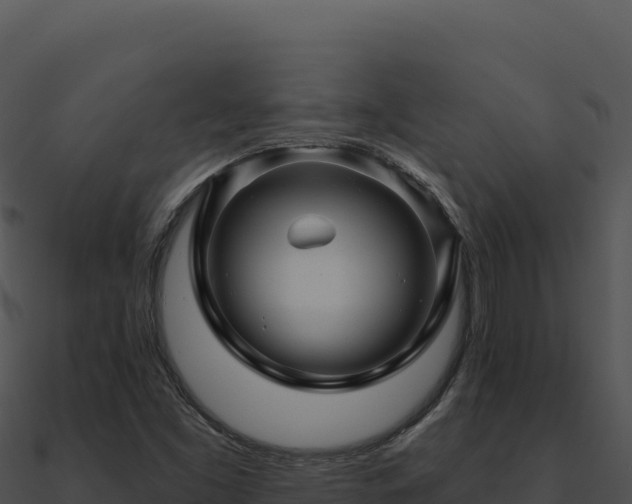 X0000091001453200708021550