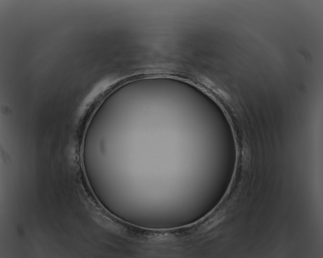 X0000091001454200708021550