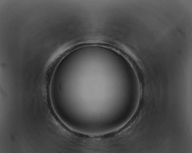 X0000091001456200708021550