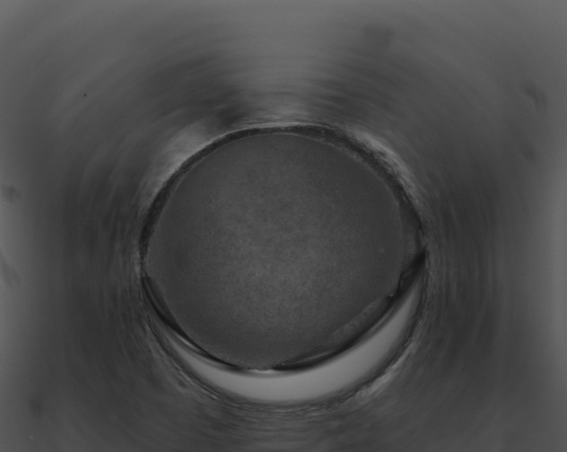 X0000091001457200708021550