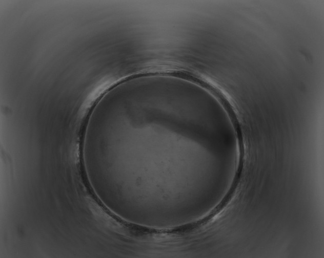 X0000091001459200708021550