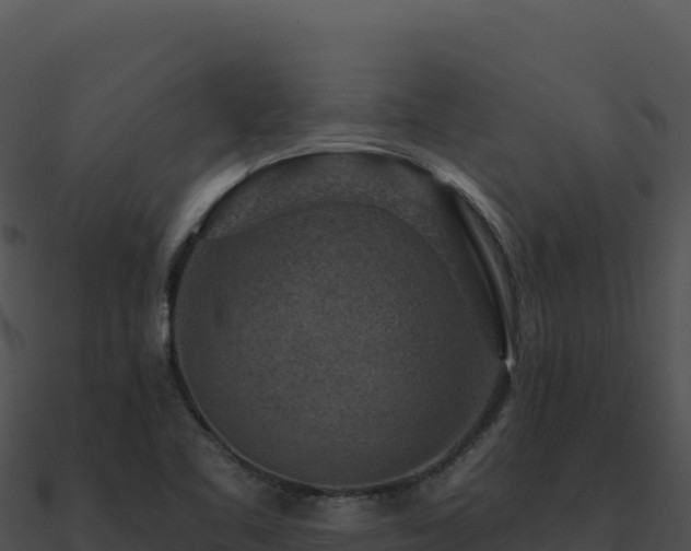 X0000091001461200708021550