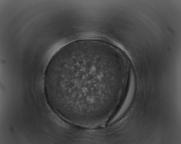 X0000091001463200708021550