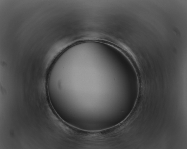 X0000091001464200708021550