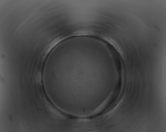 X0000091001465200708021550