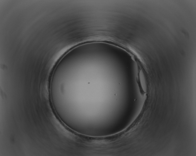 X0000091001468200708021550