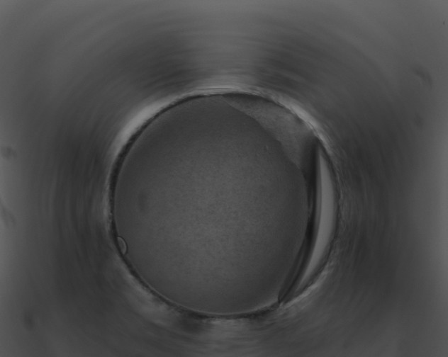 X0000091001469200708021550