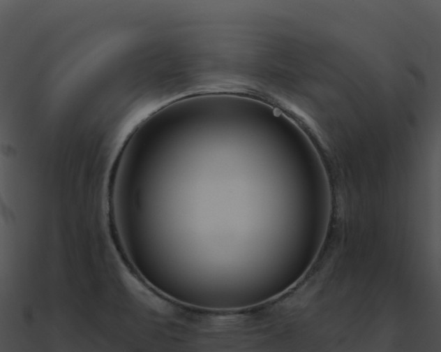 X0000091001471200708021550