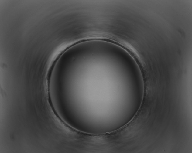 X0000091001472200708021550