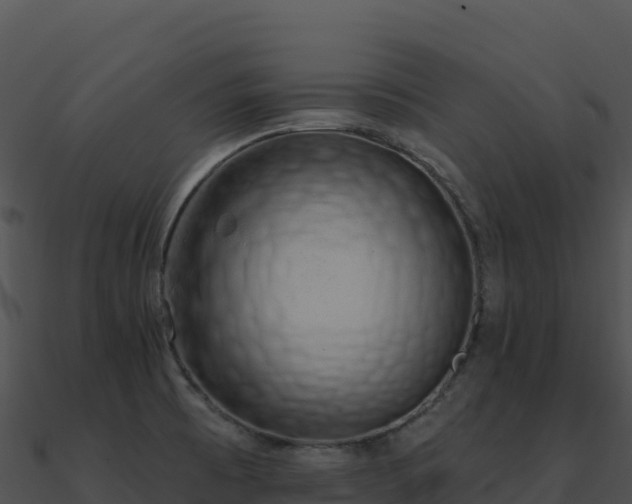X0000091001473200708021550
