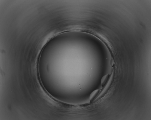 X0000091001475200708021550